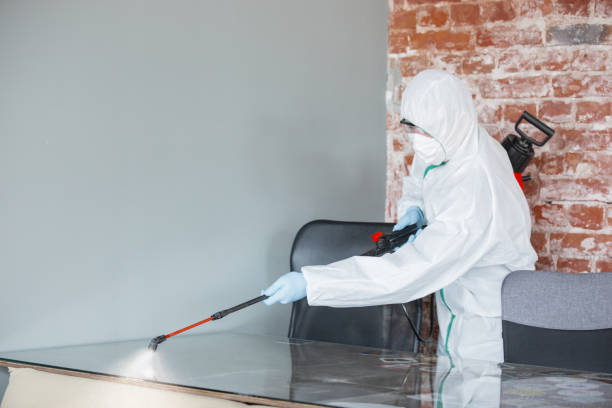 Mold Documentation for Insurance Claims in Jessup, MD